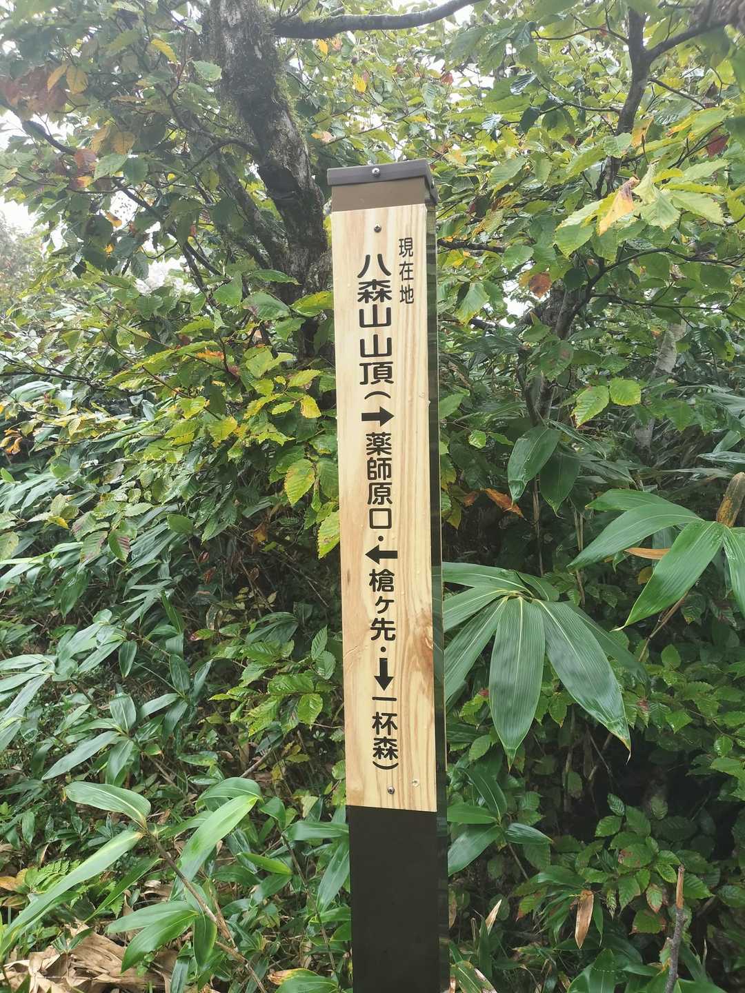 山頂の表示