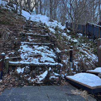 古い階段から山へ入る
地熱なのかここは雪が積もっていない