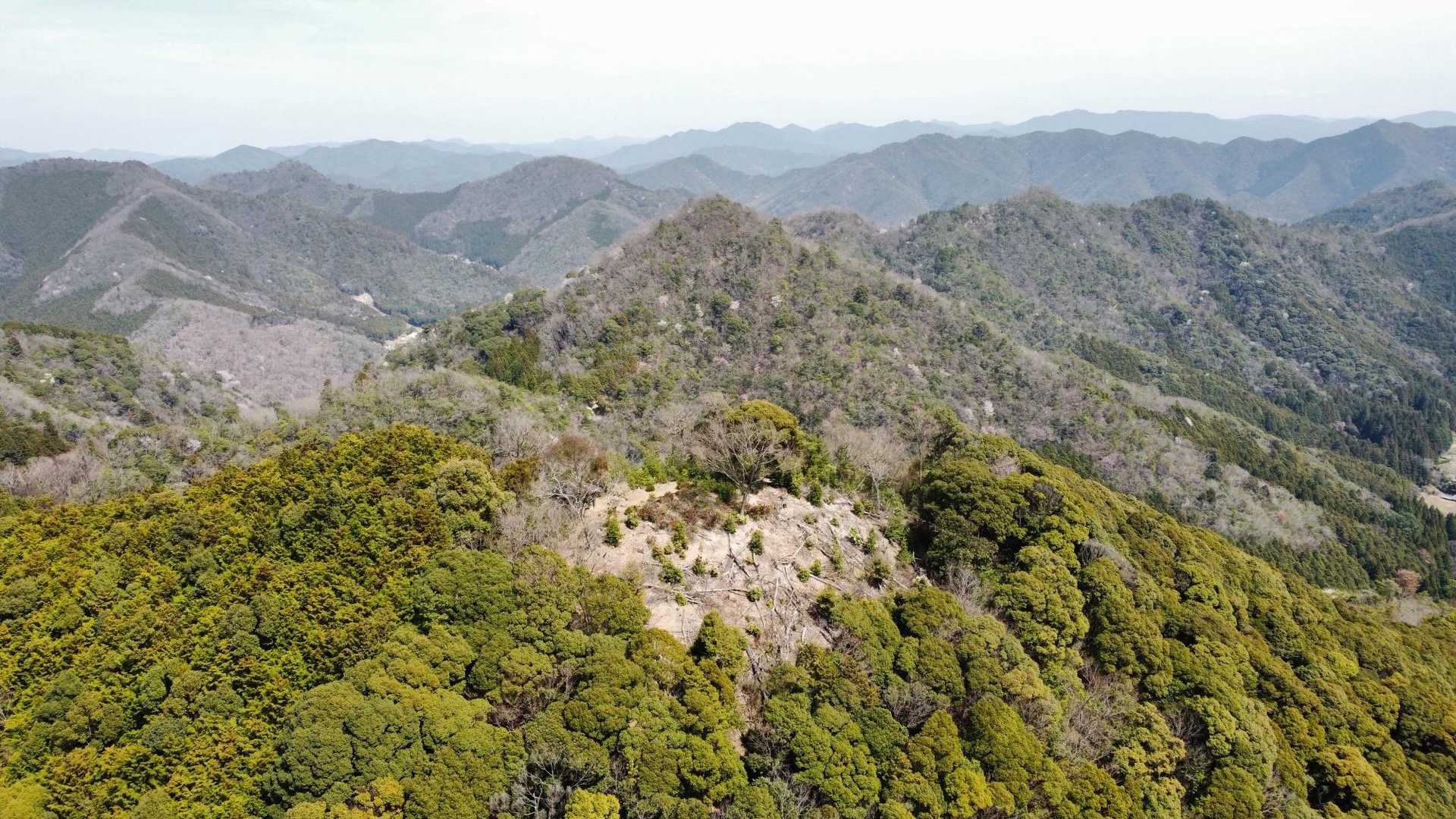 山頂付近の空から里山の花見