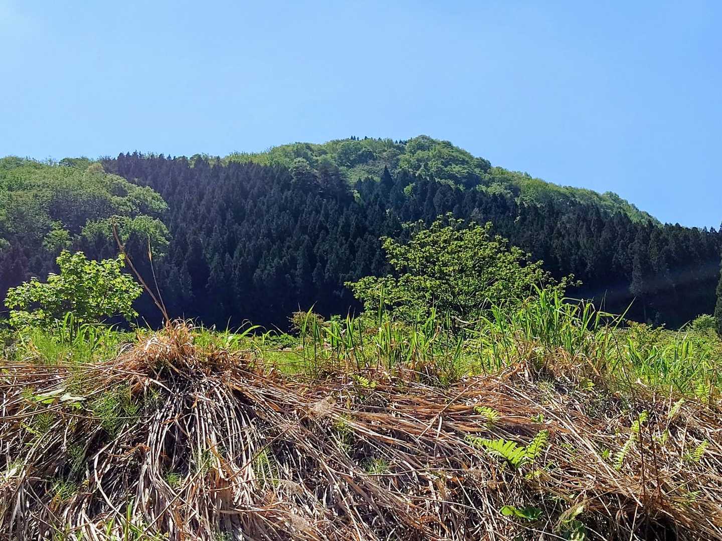 吉祥嶽かなぁ⁉️