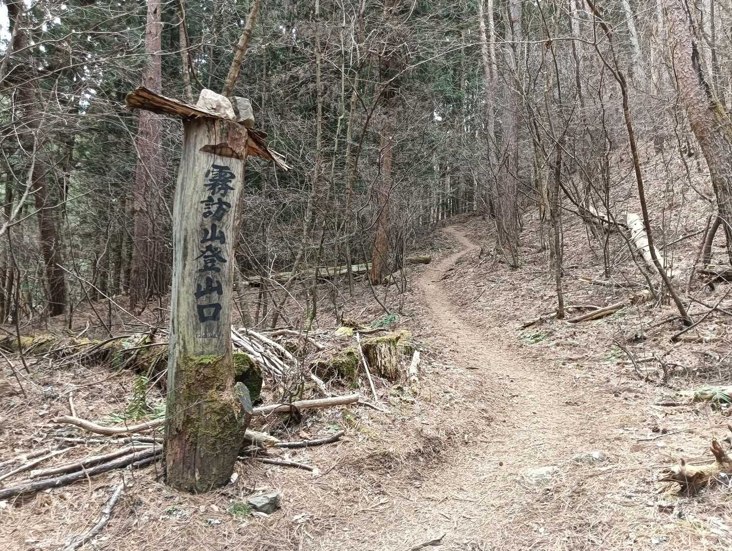 ようやく登山口
ここまで10分かからない程度のはずが　節分草や福寿草で足止めされ　30分近くかかった😁