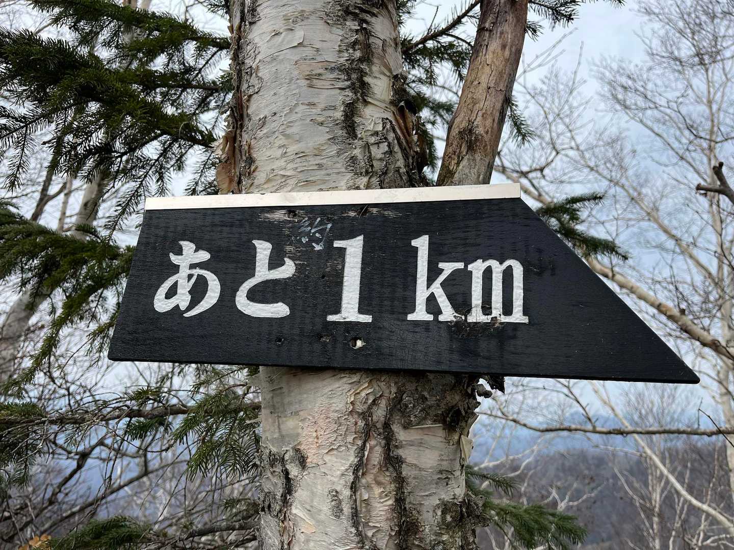 神威岳-烏帽子岳 往復コースの写真