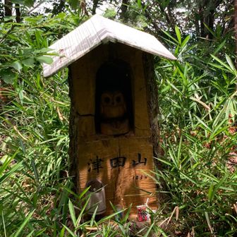 津田山、ふくろう２