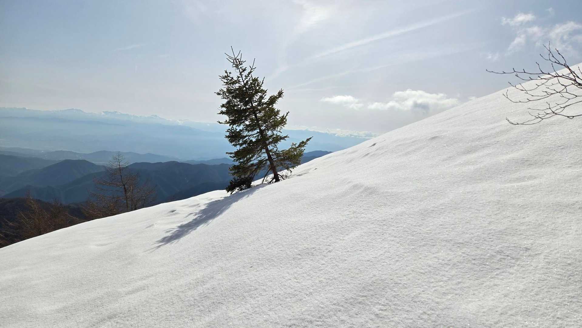 恵那山 / しゅんさんの恵那山・大判山・神坂山の活動データ | YAMAP