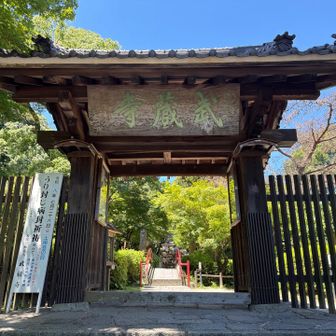 武蔵寺　５月の藤🟣棚が有名です
お疲れ山でした！