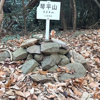琴平山頂　YAMAPの地図ずれてます