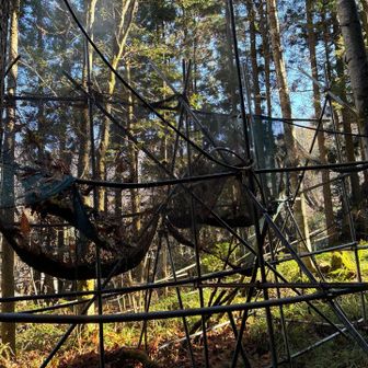 で、これがその青だるを作る装置らしい