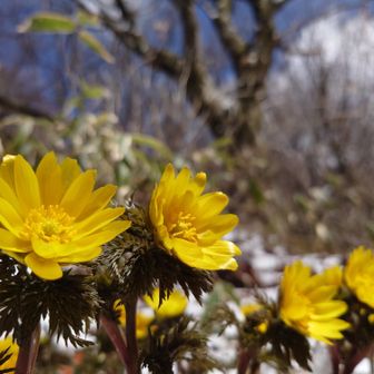 金剛山・二上山・大和葛城山 ちょうど日差しが差し込んで
綺麗でした✨