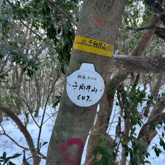 あっという間に子向井山到着🏔️

今日は木和田尾根を偵察しに来ただけなのでここまでで下山する事に⤵︎