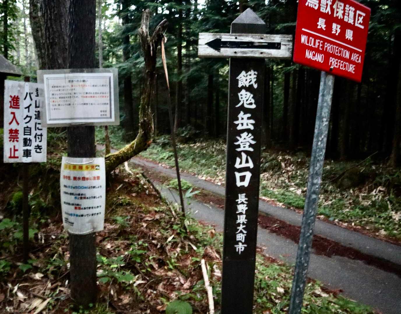 ふぅ( ꒪⌓꒪)スタートします…重い…