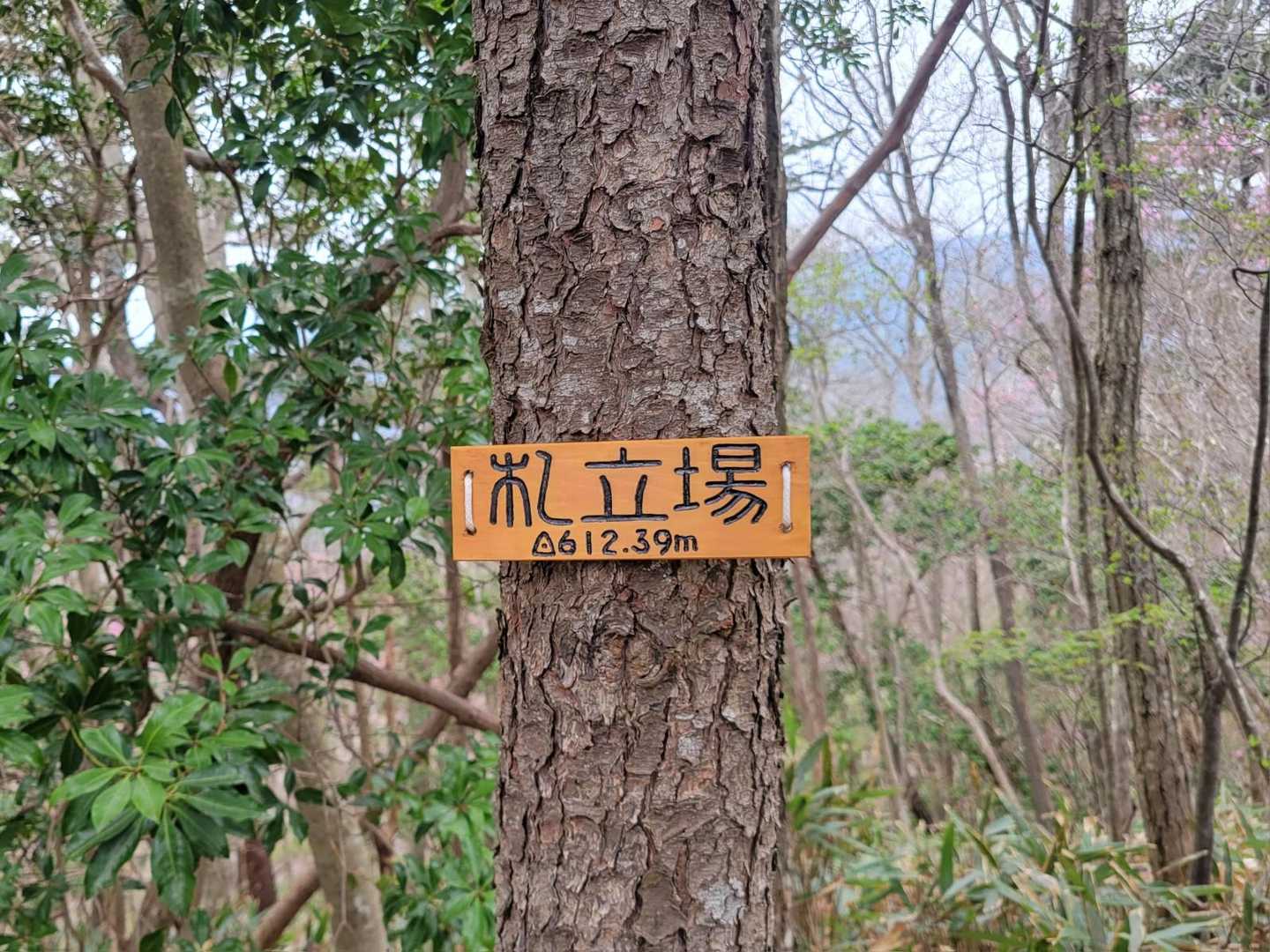 YAMAPのランドマークは無いけれど
札立場⛰️
