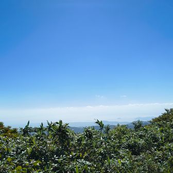 ピークからわずかに琵琶湖が見えた。冬ならもっと完璧に見えるのかな？