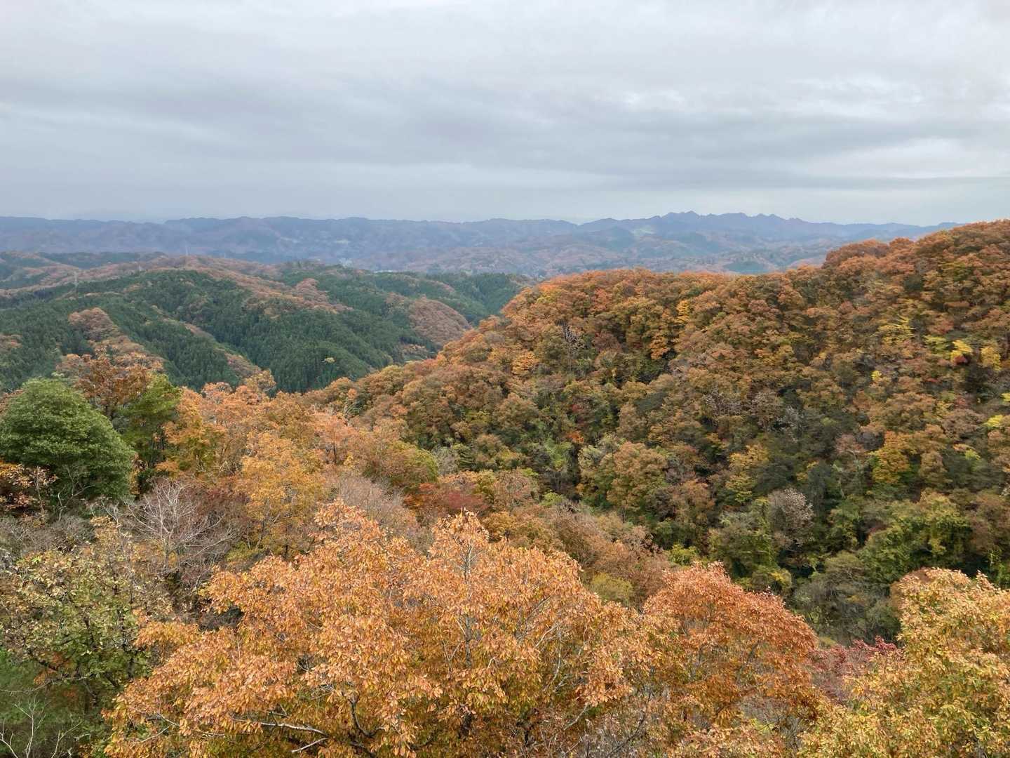 立神山-生瀬滝上-男体山・月居山登山口 縦走コースの写真