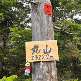 私の中で登頂した山高さ記録更新