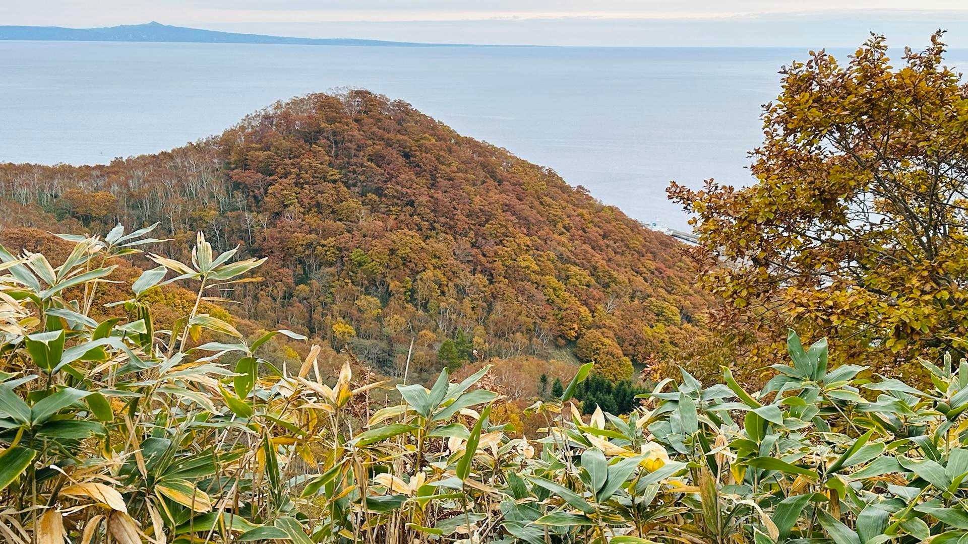 三角山を上から