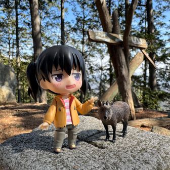 越上山登頂〜！
なんだーカモシカかぁ〜、な倉上さん