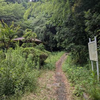 ここから登山スタート👣