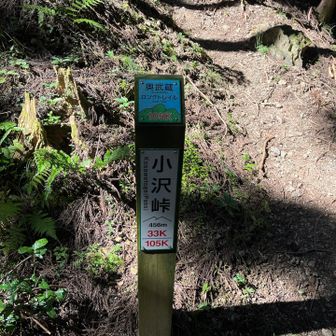 全然進んでないやん