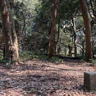 道からすこし外れたところに鷹取山山頂、三角点あり。YAMAP未登録。登録しようかしら。