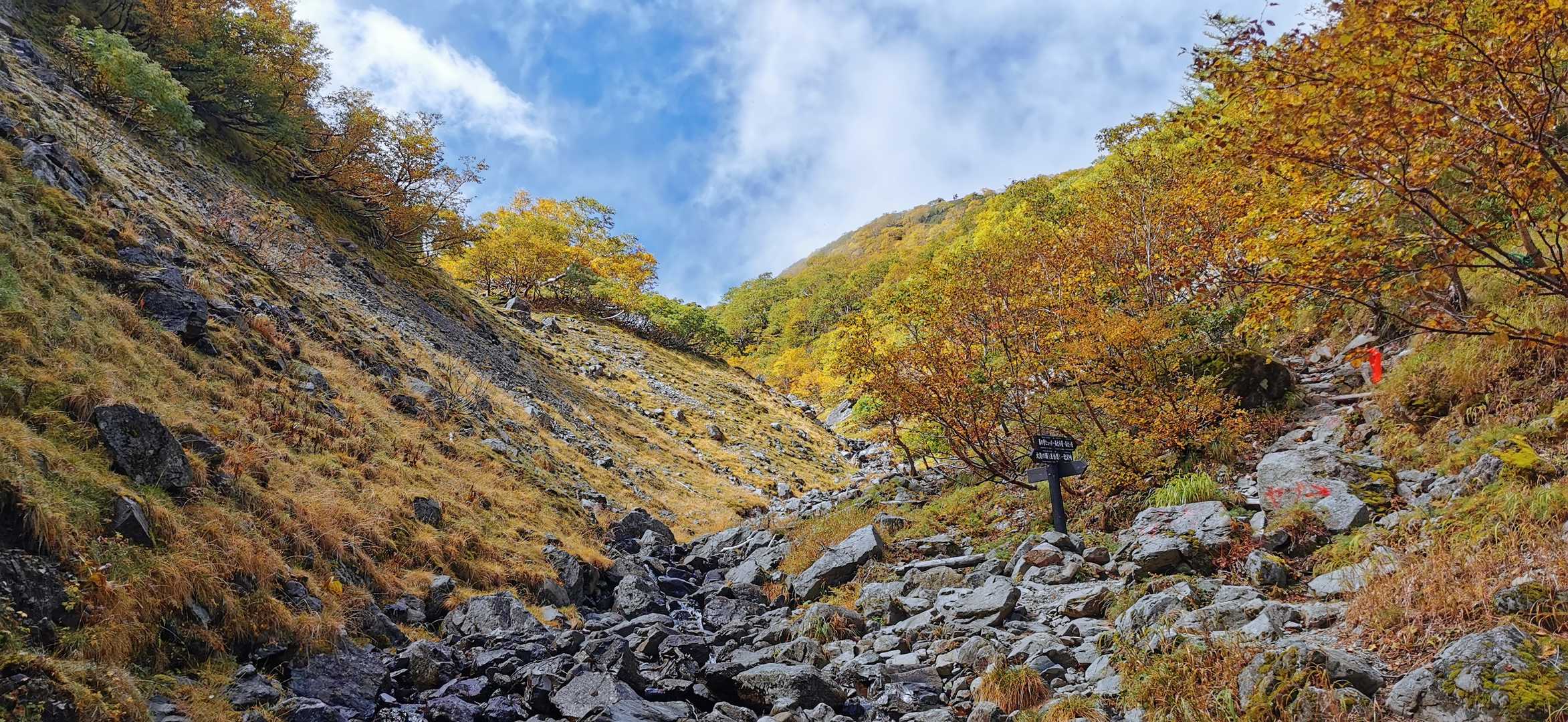 小仙丈尾根 | 南アルプスの女王への階段、甲斐駒と富士山を背に極上の稜線歩きの写真