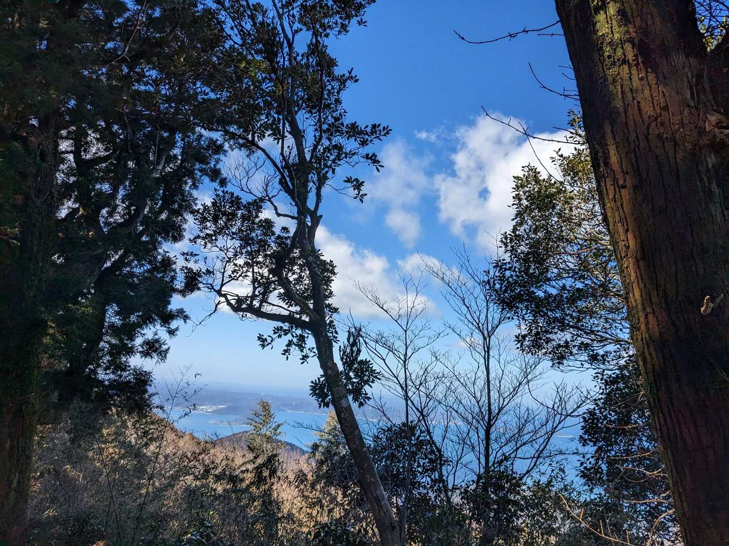 景色がキレイで写真がとまりません😊
