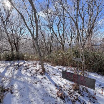 金剛山の手前で大日岳に寄り道