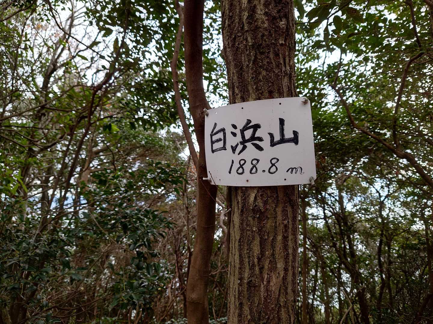 白浜山山頂✨
途中でお会いした方に、天狗岩を勧められたので、
行ってみます