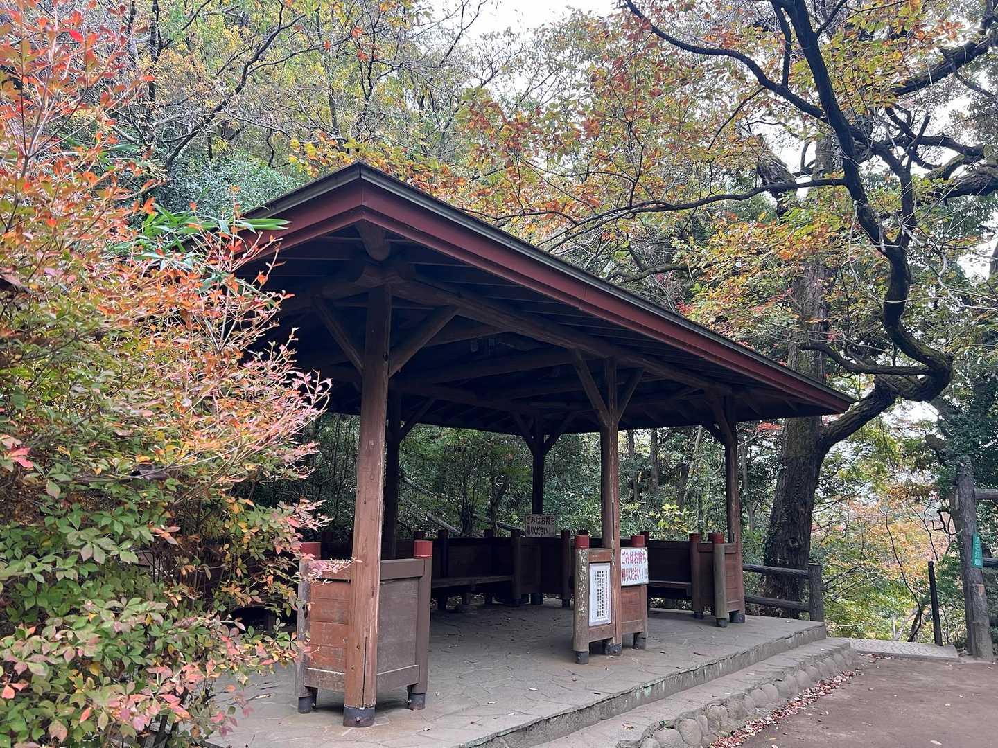四阿🍁