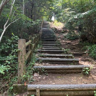 わー階段だ