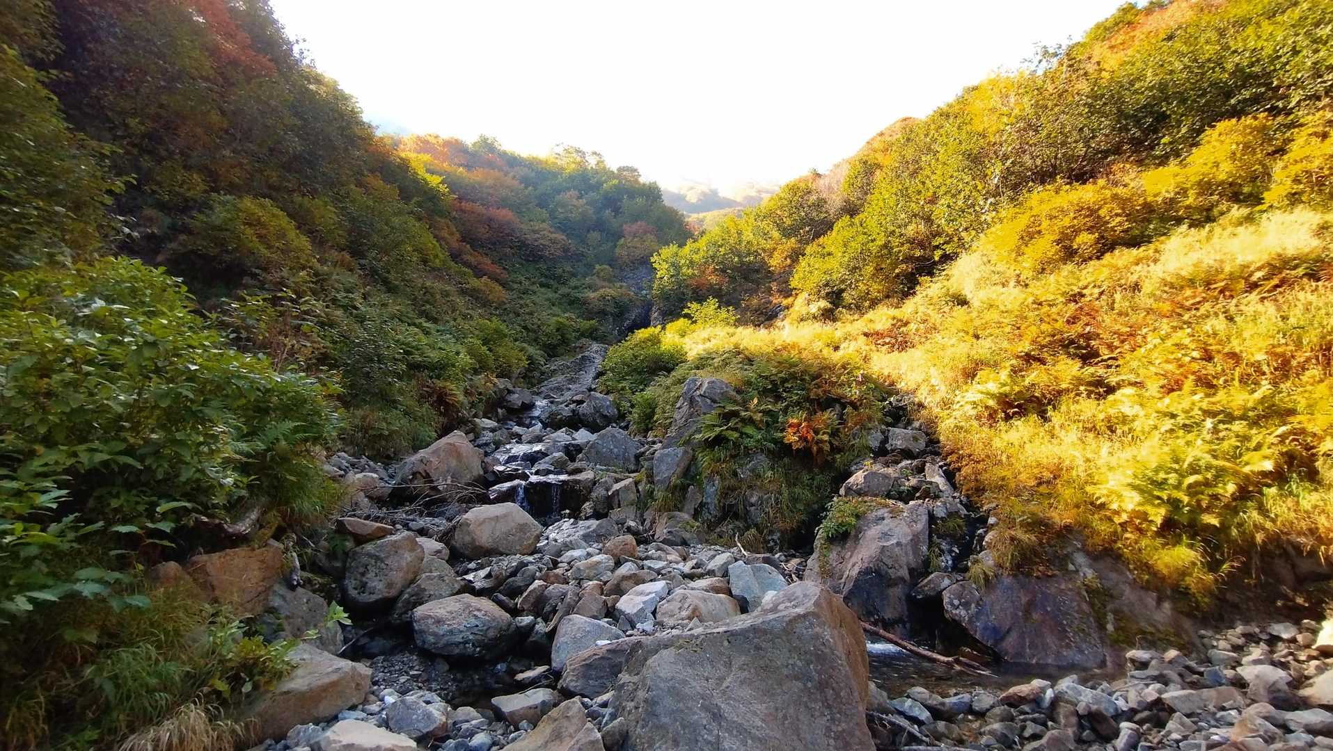 エサオマントッタベツ岳 往復コースの写真