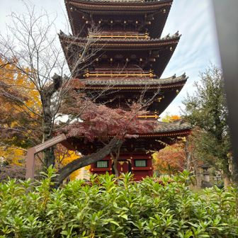 東照宮なのに五重塔
動物園の敷地にあるのでこれ以上寄れない
動物園のパンダも気になったけど時間がないです