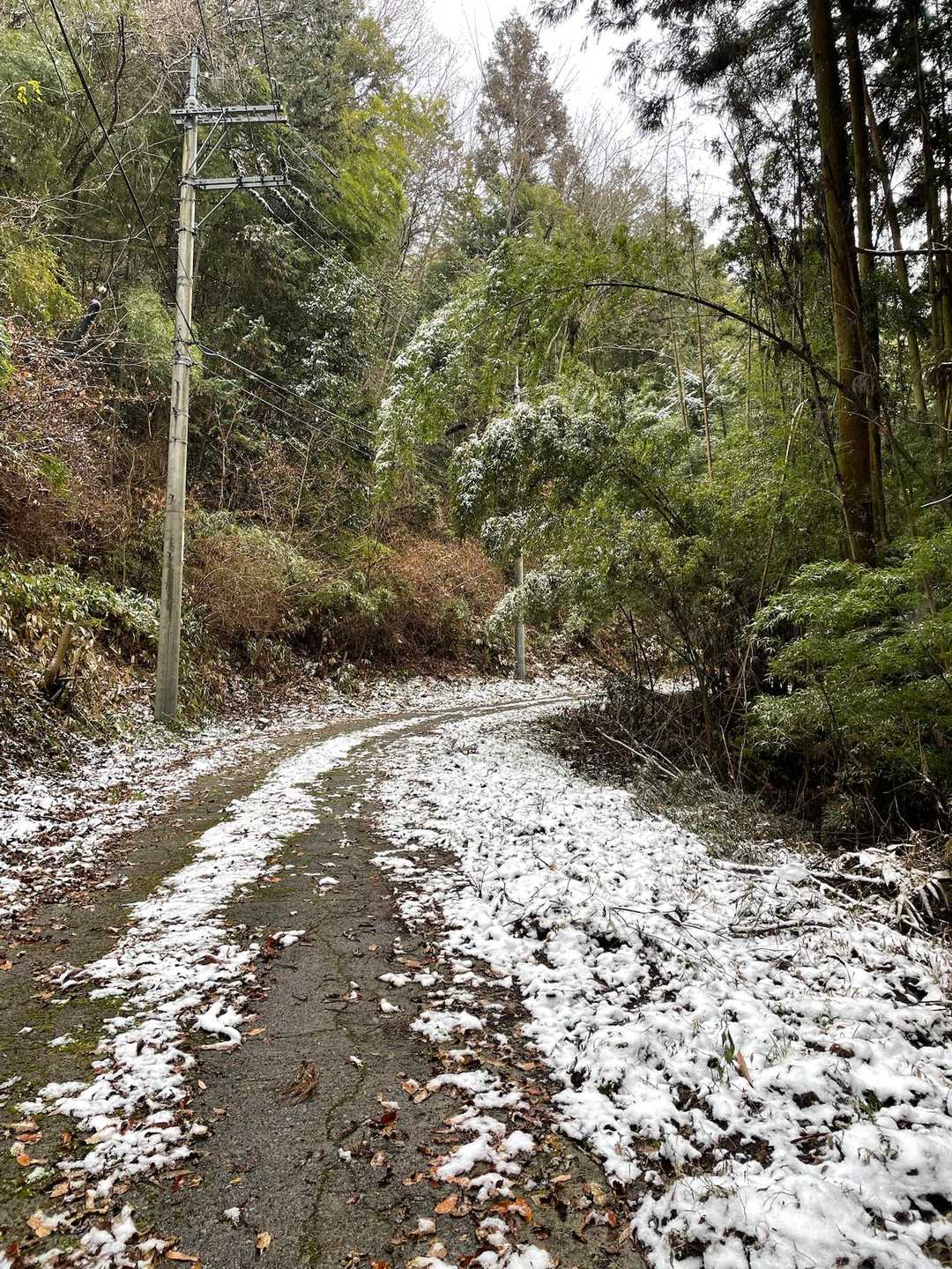 林道
雪が残ってる❄️
