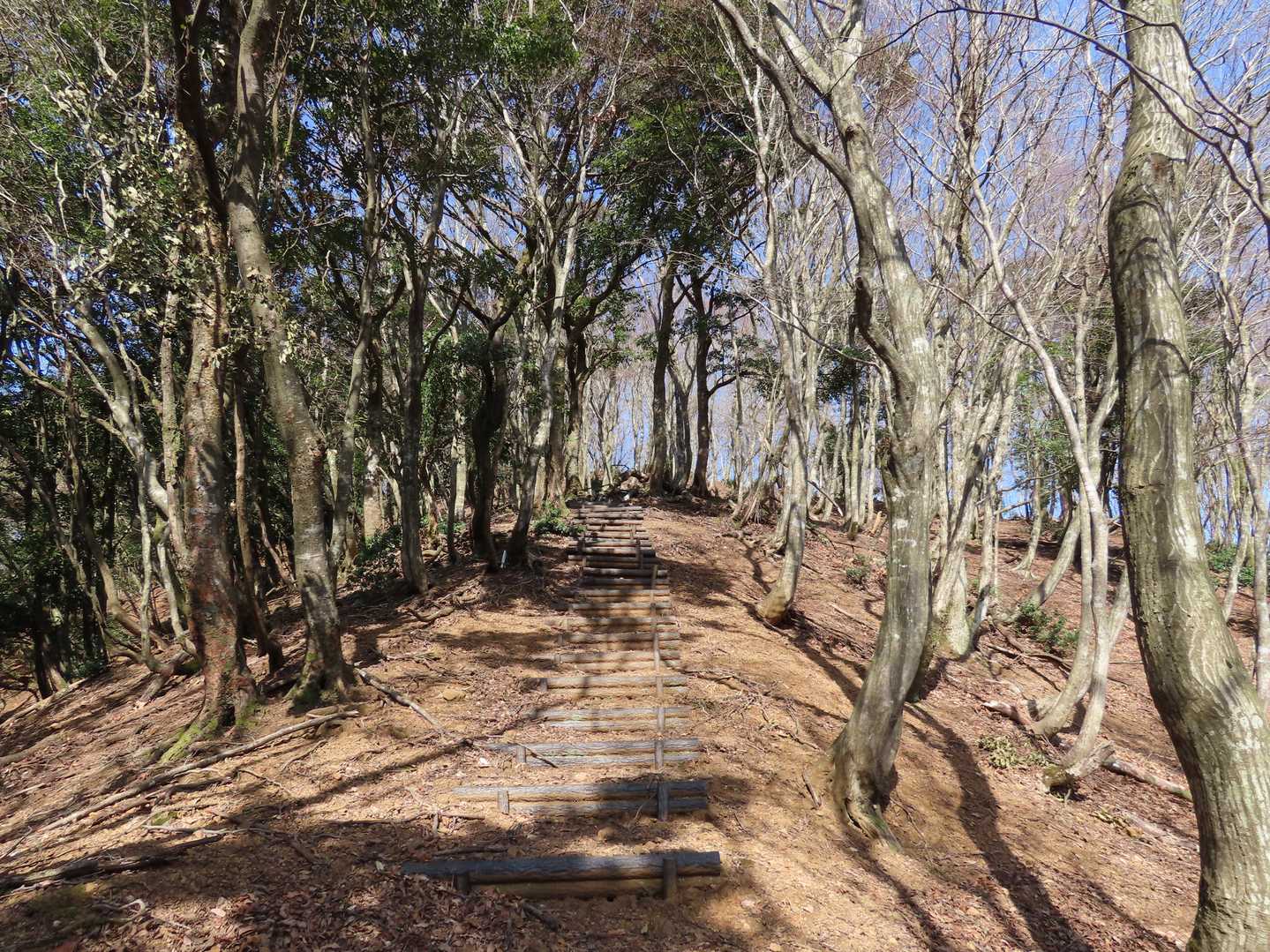 しかも…階段地獄😖
