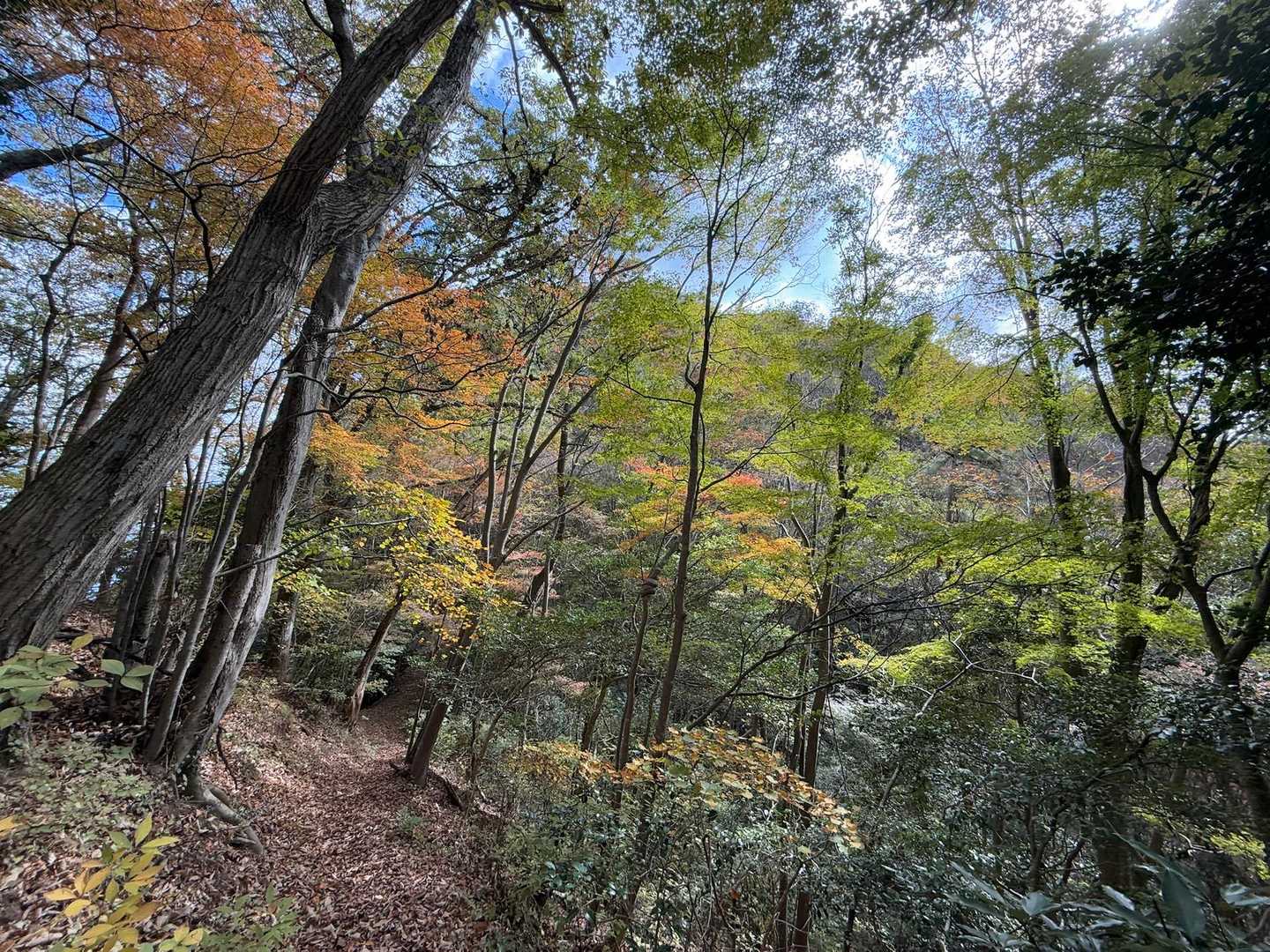 矢筈山・女体山登山口-女体山 (長尾）-矢筈山登山口-矢筈 周回コースの写真