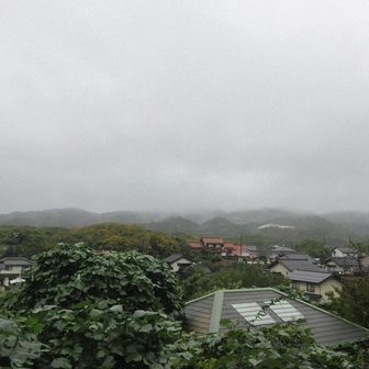 原子力館は見えない　　　　　　　　　　　　　
海へ🚗💨