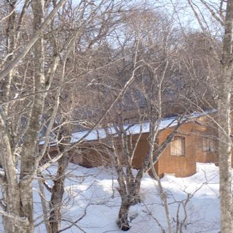 ここは！ネイチャー🏰センターでは。

裏側を歩いています