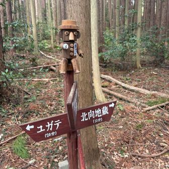 ぴん