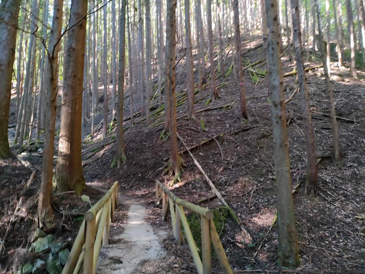 日本有数の渓谷美を誇る昇仙峡　最高峰・弥三郎岳からのパノラマも！の写真