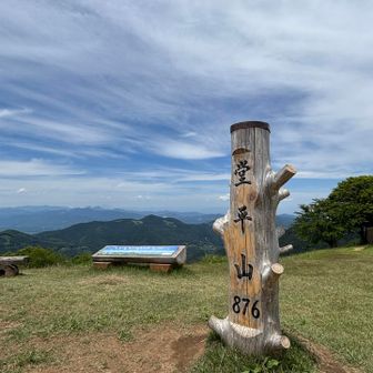 堂平山⛰️🤙
自転車🚵‍♀️の方々が多かったです。
ここまで自転車で来るのは凄いな…
美味しそうなものを販売しているキッチンカーが来ていましたが…財布を車に忘れました🥲
※天気が良い週末に来ているみたいです！