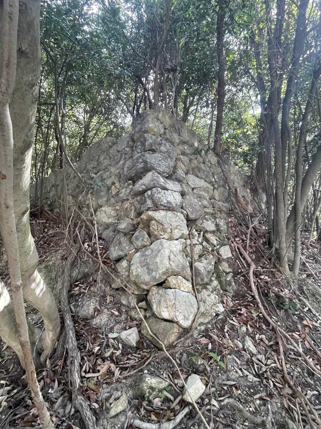 こちらの登山口辺りで石垣発見