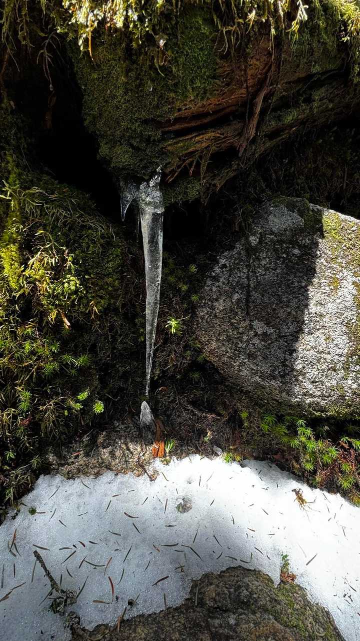 三宝山・甲武信ヶ岳縦走 の写真 20