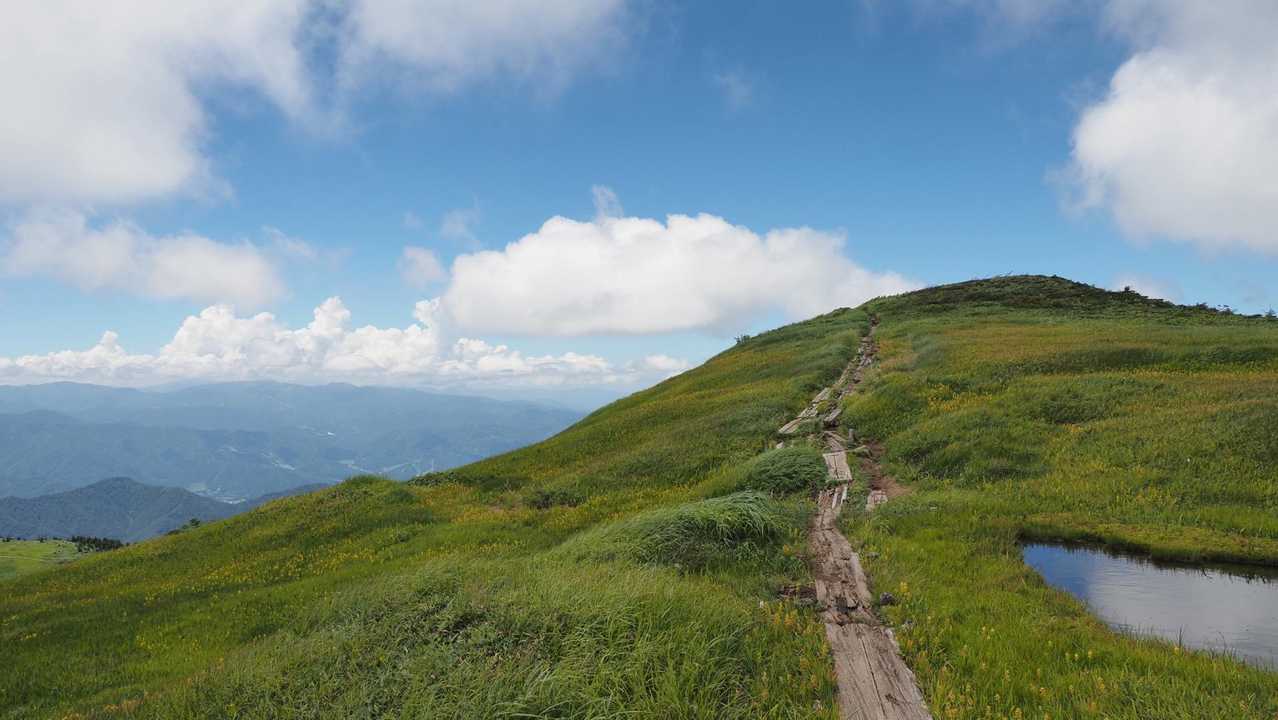 巻機山、夏空の夫婦登山 の写真 18