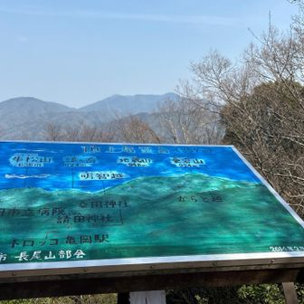 晴れてるけれど、少し春霞かかってる🎵