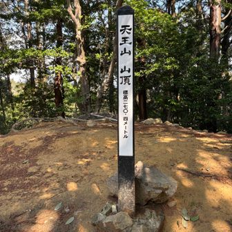 そうこうしているうちに山頂🙌
初めての京都のお山🔰

と、ここで…スマホの充電が20%台に💦
充電せずに来てしまい、充電器もモバイルバッテリーも忘れちゃったんです😱泣
