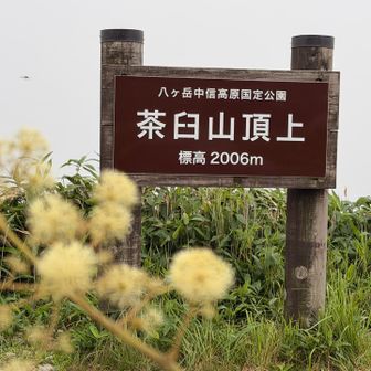 茶臼山🙌