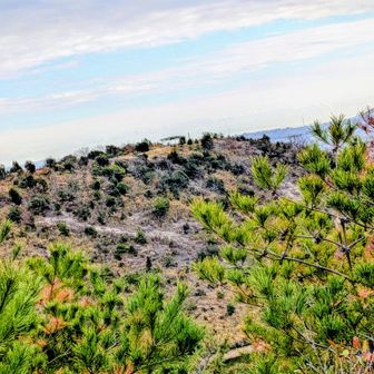 宝殿山山頂が見えます🫡