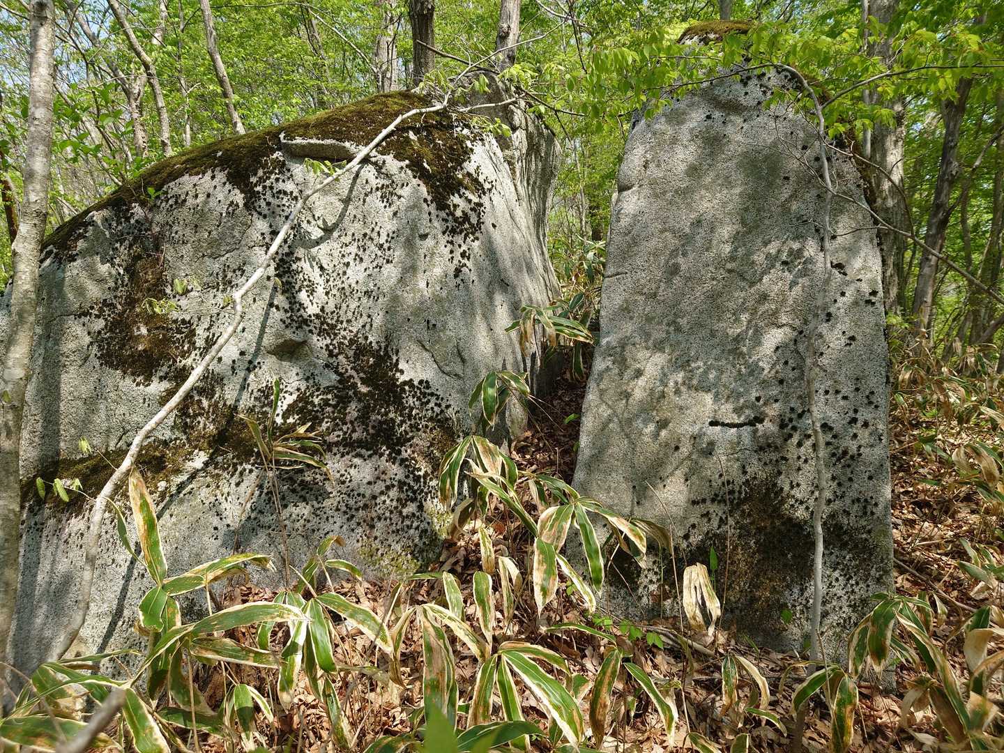 岩