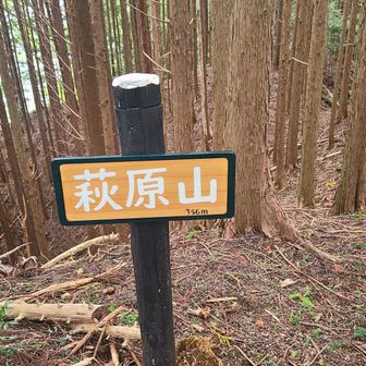 事後カウントされない山頂。
※本日改めてカウントされた。
数ヶ月前にYAMAPに問い合わせたが返信は未だ無し。