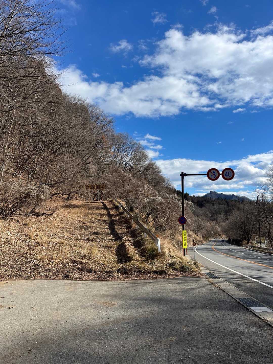 道路に出た。
ロード歩きでスタート地点に戻ろうとしていたけど思い出した！
さっきのご夫婦が言っていたショートカットのことを。
ブレーキイカれた車が突っ込む坂を直進します。
