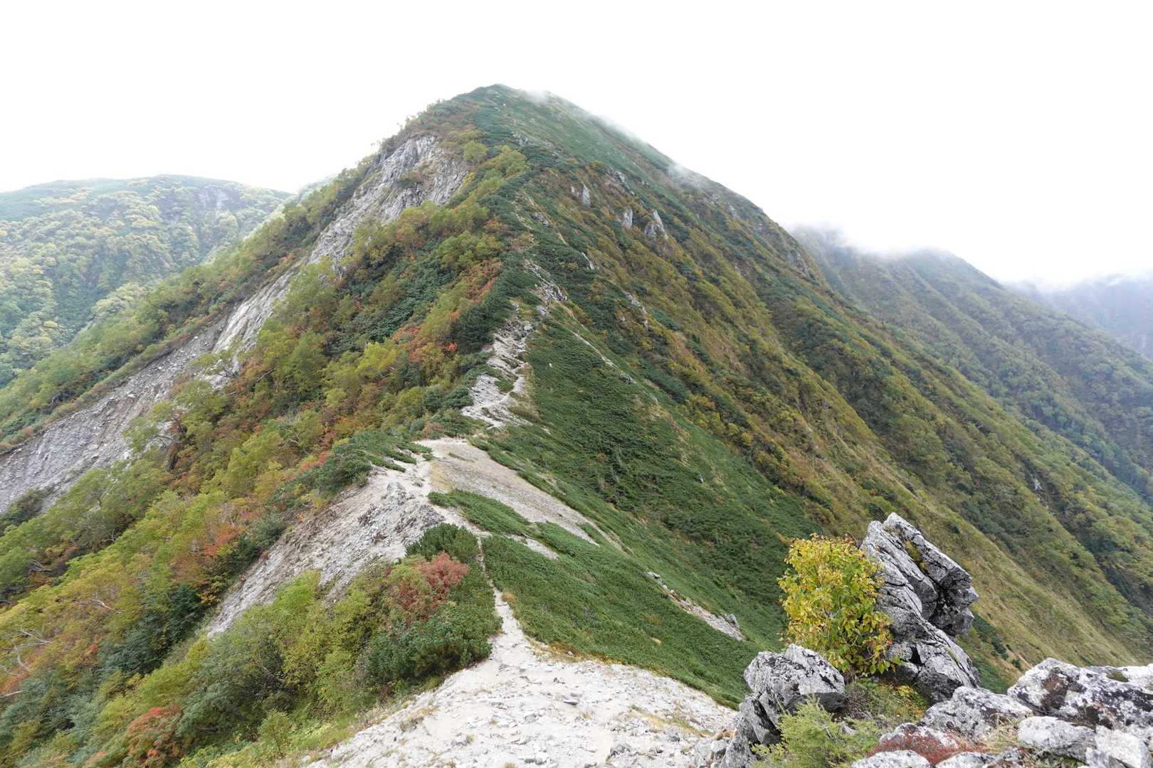 千畳敷駅-島田娘-濁沢大峰-檜尾岳 往復コースの写真